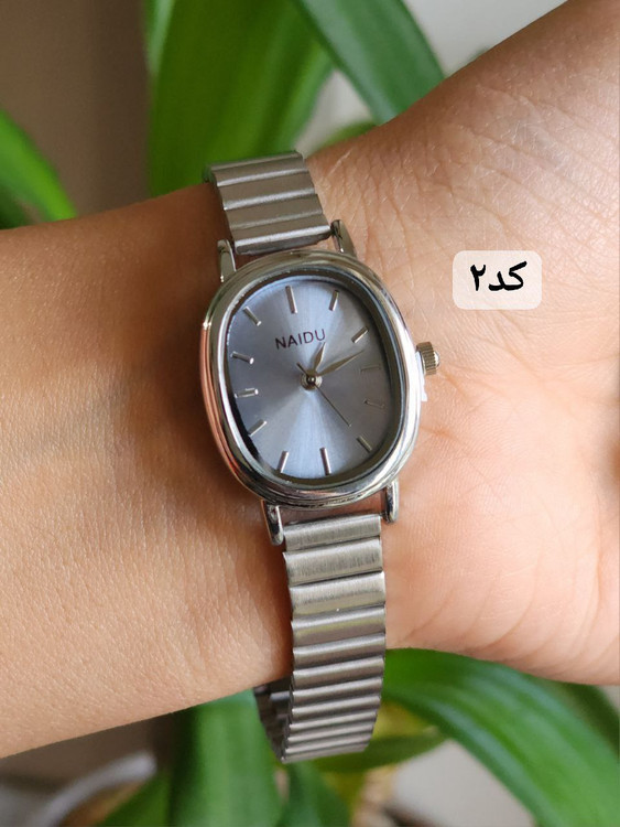 ساعت زنانه نایدو بند استیل کد 369531